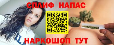 мдпв Пугачёв