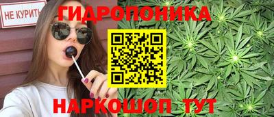 мдпв Пугачёв