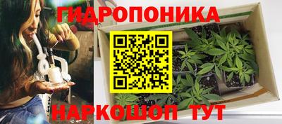 мдпв Пугачёв