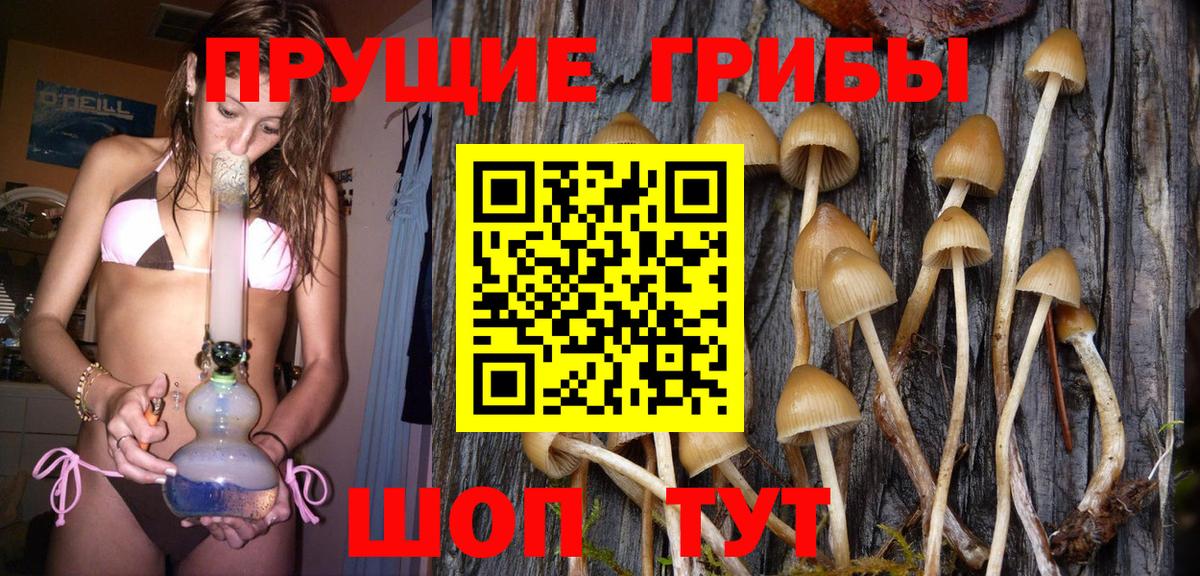 Пушкино  Галлюциногенные грибы Psilocybe  Вход с VPN  Псилоцибиновые грибы GOLDEN TEACHER 