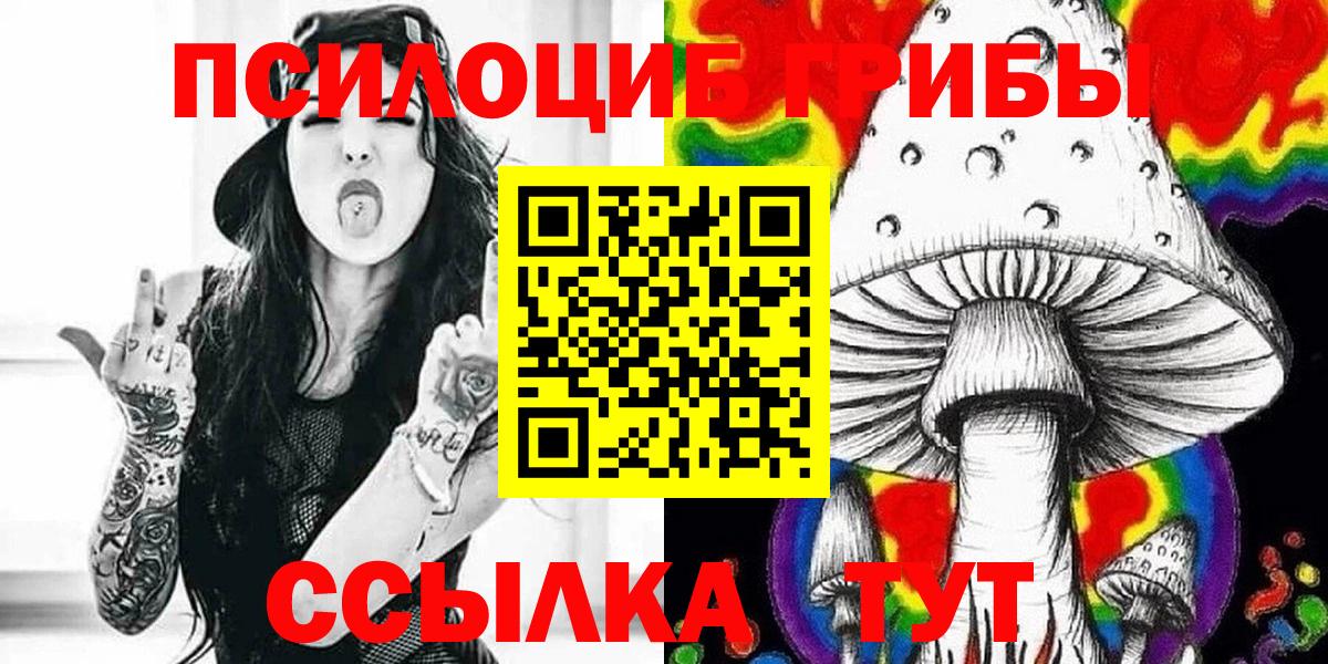Псилоцибиновые грибы мицелий Пушкино